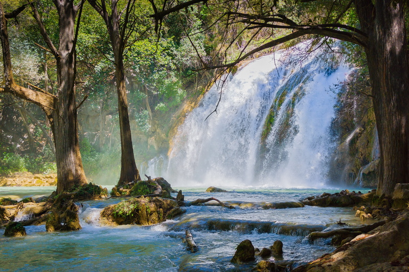 romantic, jungle, long exposure, non-urban scene, nature, flowing, environment, power in nature, wet, green, falling water, natural, outdoors, no people