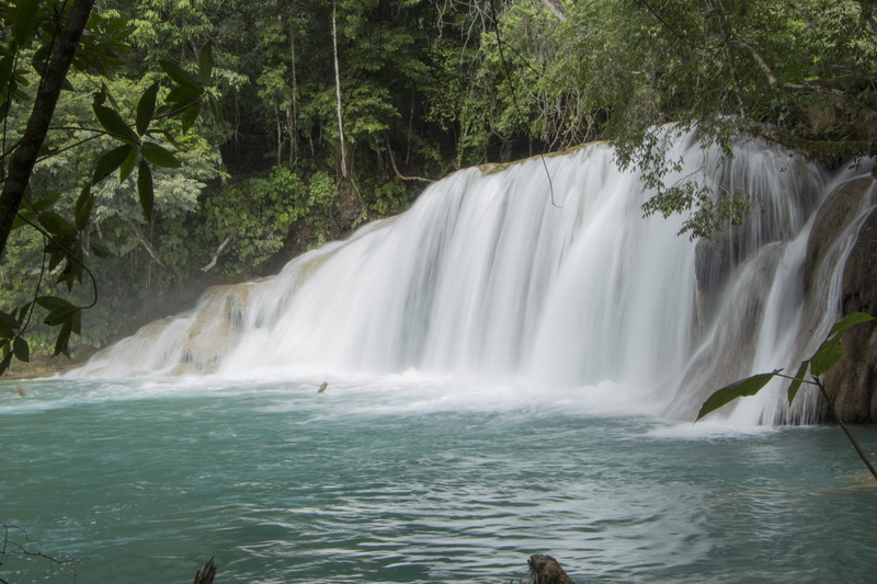 power in nature, no people, forest, chiapas-mexico, nature, 5K, day, scenics - nature, river, tree, current, idyllic, growth, rainforest, environment