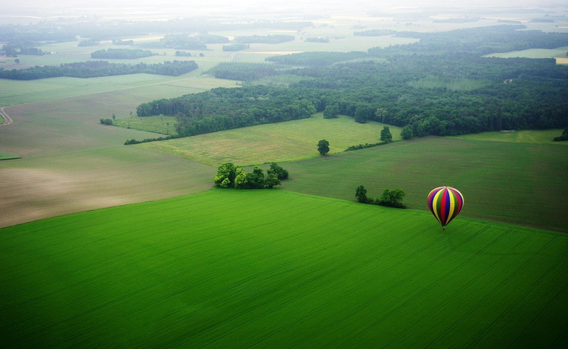 trees, field, top view, 1080P, hot air balloons, landscape
