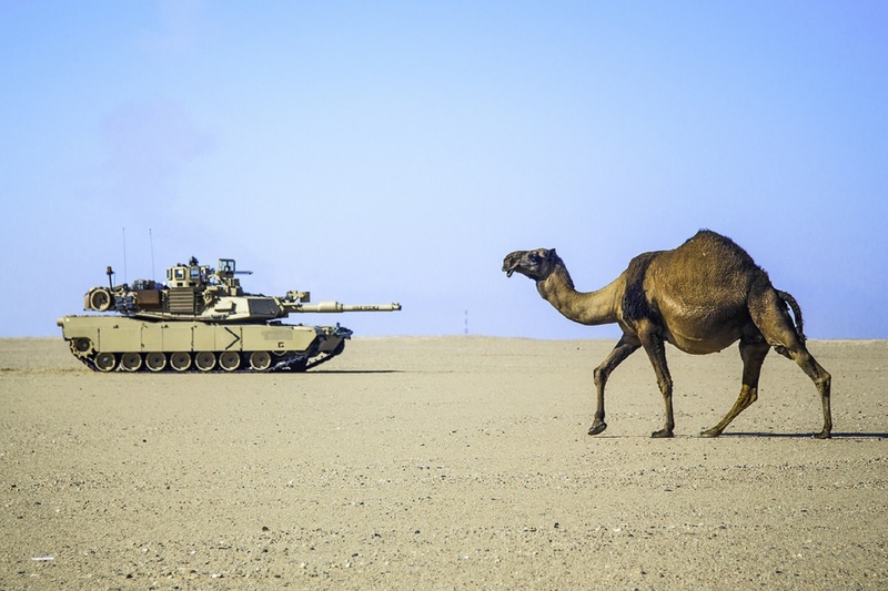 arid climate, clear sky, mode of transportation, no people, tank, dessert, aggression, hot, sky, standing, mammal, outdoors, on the move, military, sand