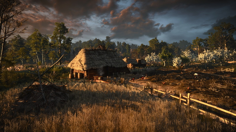 nature, The Witcher 3: Wild Hunt, field, 1080P, growth, built structure, video games, brown, plant, open, tranquility, outdoors, scenics - nature, environment