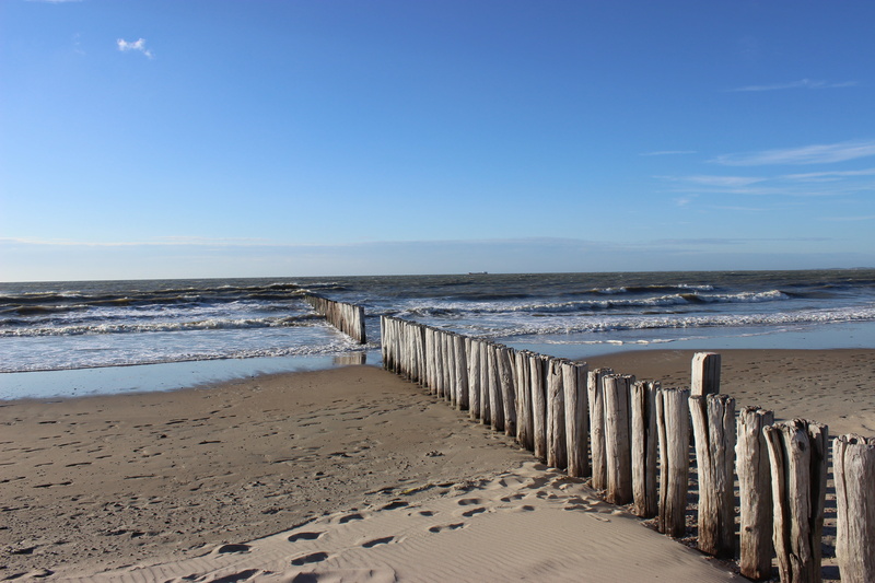 beauty in nature, no people, netherlands, wood - material, holzbuhne, tranquility, cadzand-bad, tranquil scene, traces, spacious, landscape, outdoors, north sea