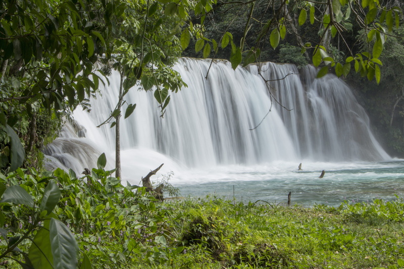 scenics - nature, forest, current, flowing, outdoors, beauty in nature, 5K, tree, water, blurred motion, rainforest, land, nature, long exposure, no people