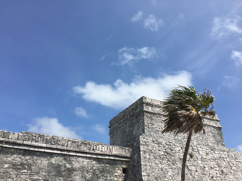 day, blue, history, ancient civilization, quintana roo, low angle view, sunlight, tree, the past, nature, ruins, no people, cloud - sky, mexico, ruined