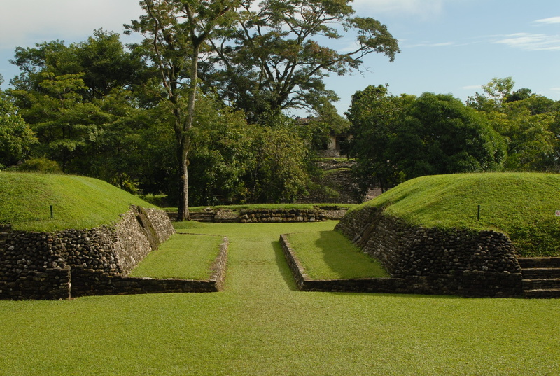 sunlight, day, tree, architecture, formal garden, park - man made space, grass, tranquility, footpath, growth, green color, no people, scenics - nature