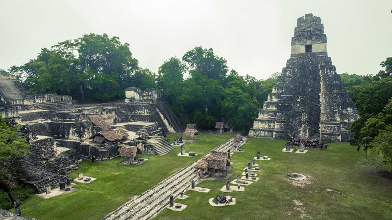 plant, built structure, history, building exterior, no people, tourism, tikal, travel, nature, old ruin, ruined, ancient, archaeology, travel destinations