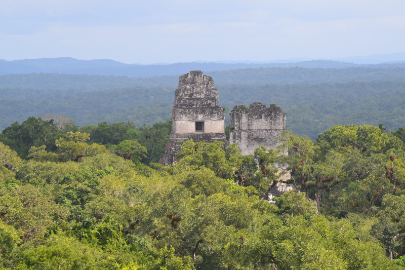 sky, travel, archaeology, history, the past, plant, nature, architecture, day, guatemala, outdoors, tikal, tourism, growth, ancient, building exterior