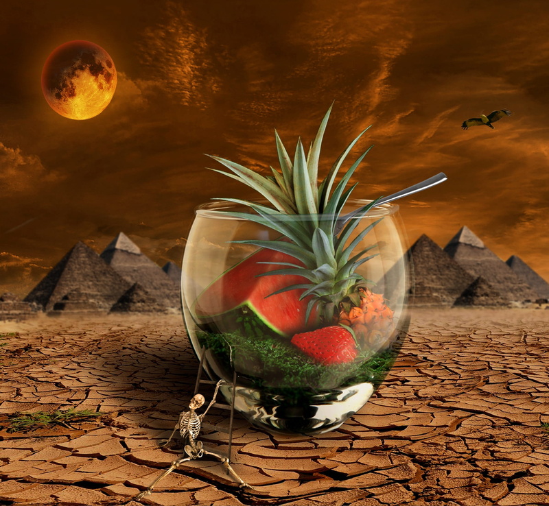 table, skeleton, leaf, dry, drinking glass, food, glass, wood - material, orange, sky, pyramid, alcohol, Moon, composing, healthy eating, close-up, freshness