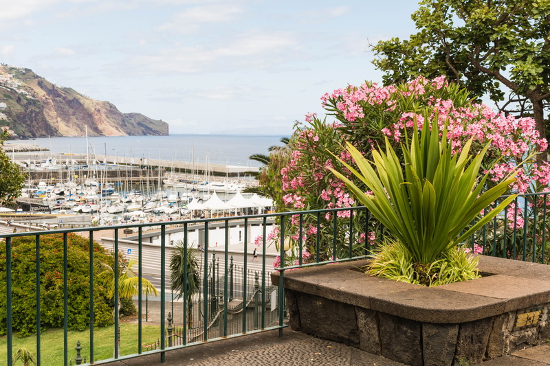 growth, outdoors, plant, tranquil scene, railing, sea, flower, no people, beauty in nature, beach, day, tranquility, madeira, funchal, flowering plant