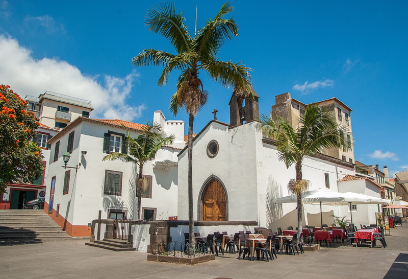palm tree, built structure, tree, city, seat, 2K, spirituality, outdoors, architecture, place of worship, belief, nature, building exterior, funchal, plant