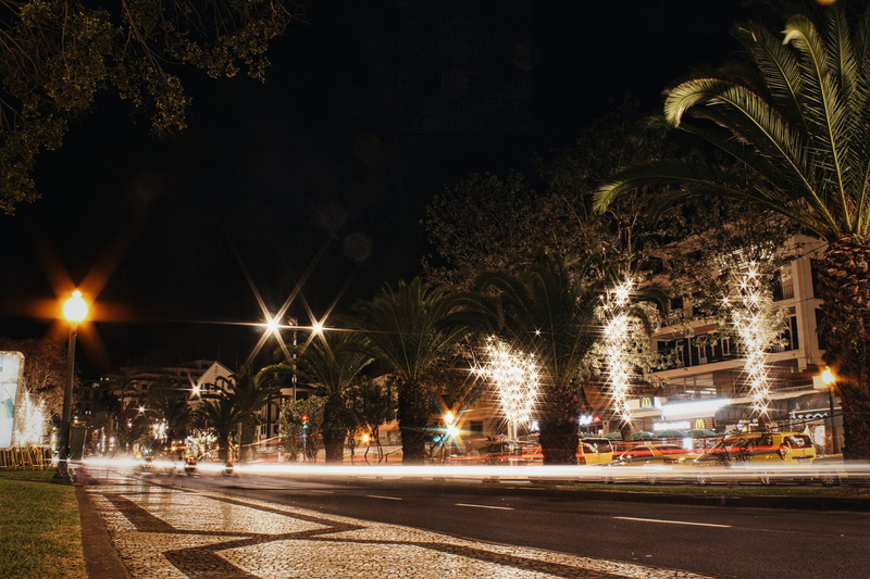 tree, light, madeira island, canon, city, cars, transportation, illuminated, people, treelined, editing, esposure, road, plant, night, street, long exposure