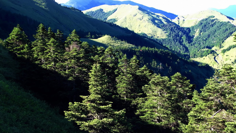 wilderness, park, national, rock, 1080P, lake, pine tree, tourism, alp, natural elevation, green color, mountains, coniferous tree, hill, grass, mountain