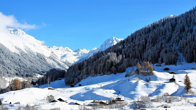 forest, scenery, winter landscape, winter, mountain peak, pine tree, alpine village, house, tranquil scene, white, snow, the backlight, winter dream, cold temperature