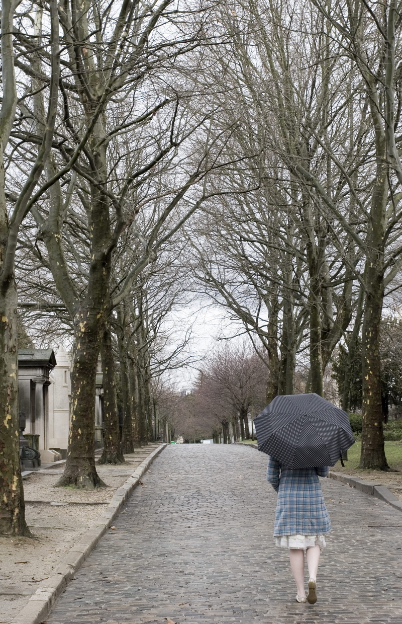nature, overcast, walk, girl, plant, woman, bare tree, one person, rain, diminishing perspective, 2K, tree, real people, outdoors, vacation, rear view