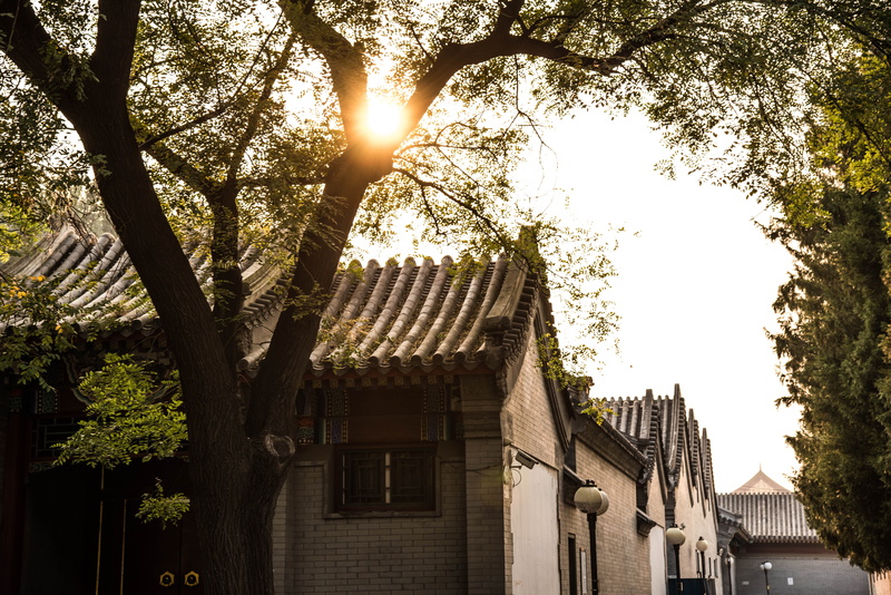 beijing, roof, branch, city, building exterior, tree, sky, plant, building, garden, beside, forbidden city, brightly lit, sunbeam, flare, 5K, arbour, low angle view
