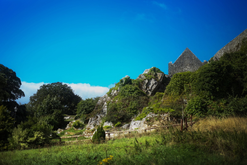 ruin, growth, tranquil scene, built structure, ancient civilization, outdoors, history, blue, mountain, tranquility, environment, plant, castle, architecture