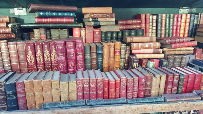 arrangement, side by side, antique, shelf, stack, for sale, choice, store, Books, collection, old, Vendor, paris, education, multi colored, large group of objects