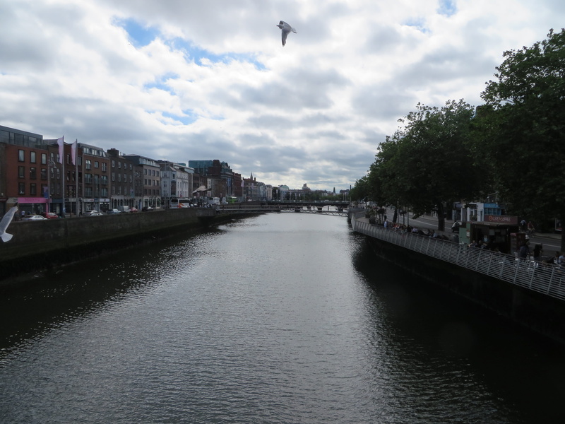 bridge - man made structure, europe, cloud - sky, calm, tree, sky, hapenny bridge, transportation, dublin, outdoors, ireland, day, liffey, nature, no people