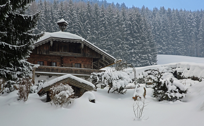 log cabin, no people, building, building exterior, cold, trees, wintry, covering, land, white color, idyllic, frozen, landscape, holiday house, beauty in nature