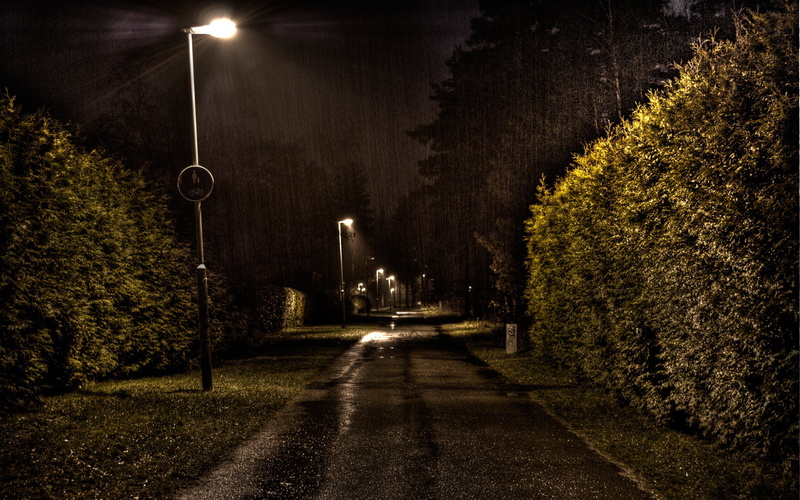 autumn, green, lighting Equipment, tree, diminishing perspective, nature, rain, urban Scene, no People, the way forward, built structure, street Light