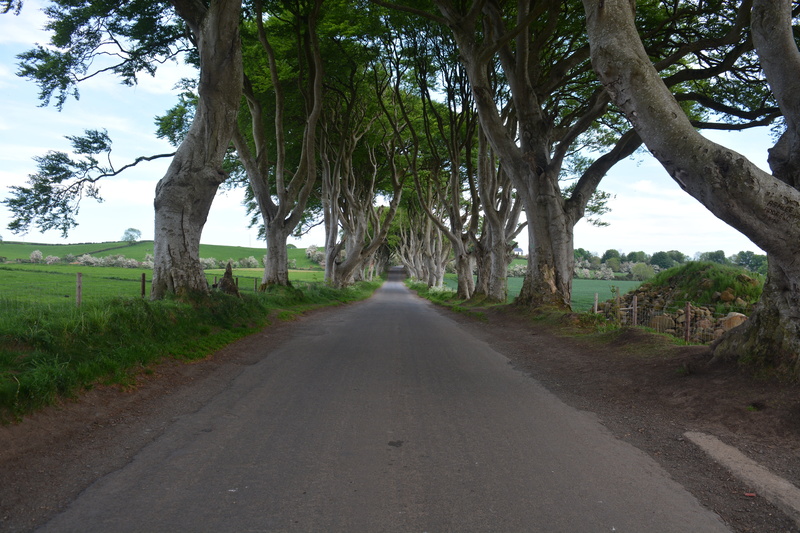 nature, direction, beauty in nature, transportation, land, vanishing point, outdoors, tranquility, 5K, day, games of thrones, sky, the dark hedges, road