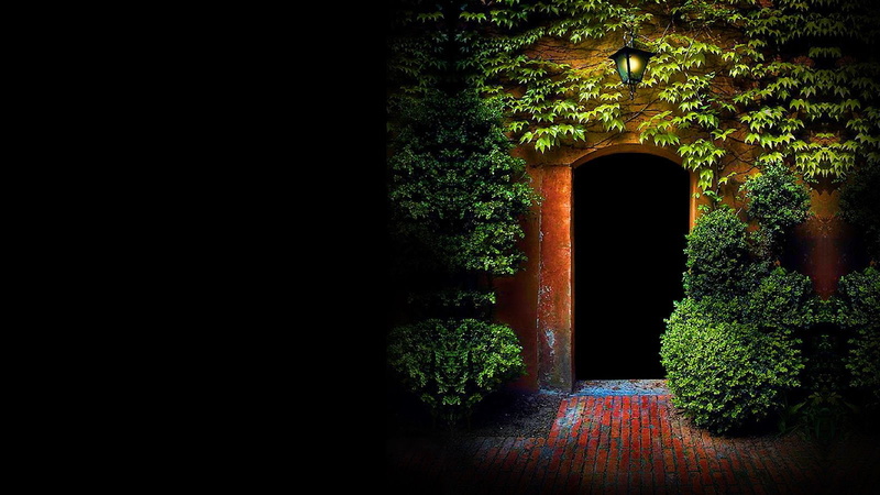 green color, no people, night, plant, window, hedge, building exterior, built structure, outdoors, nature, copy space, 720P, arch, tree, growth, plants leaves