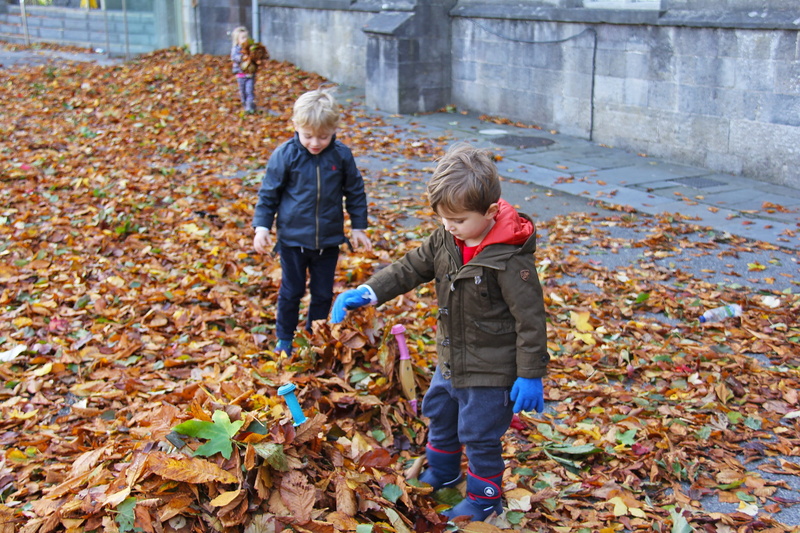 ireland, warm clothing, seasonal, change, europe, fall, fun, park, colorful, nature, boys, offspring, cute, plant part, maple, leaves, color, autumnal