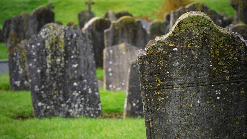 government, no people, history, moss, memorial, grass, in a row, rock, the past, outdoors, grey, 5K, graveyard, plant, kilkenny, old graveyard, cemetery