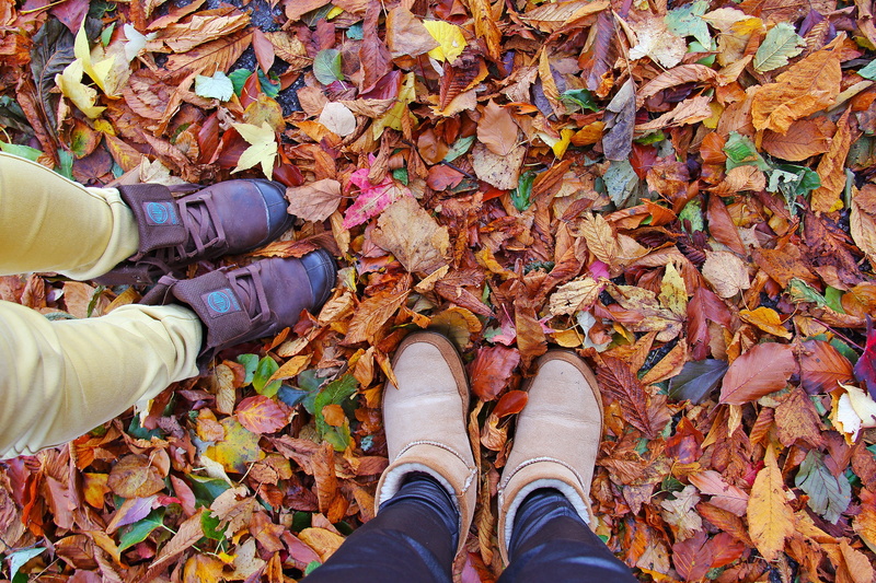 autumn, men, travel, castle, 2K, outdoors, high angle view, leaves, personal perspective, kilkenny, color, day, fall, human body part, jeans, change, standing