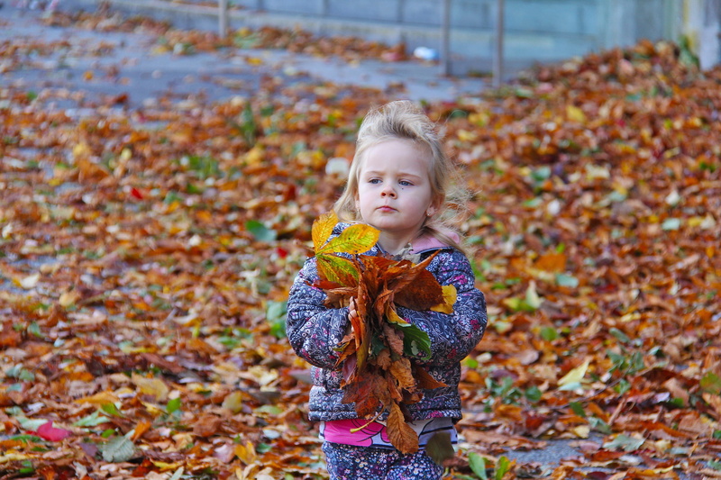 girl, front view, leaves, colorful, cute, maple, seasonal, looking, red, fun, real people, autumn, outdoors, land, castle, orange, season, little, park
