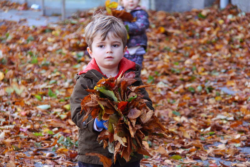 autumnal, happy, playing, child, fall, season, orange, castle, park, men, plant part, maple, seasonal, warm clothing, boy, day, color, innocence, change