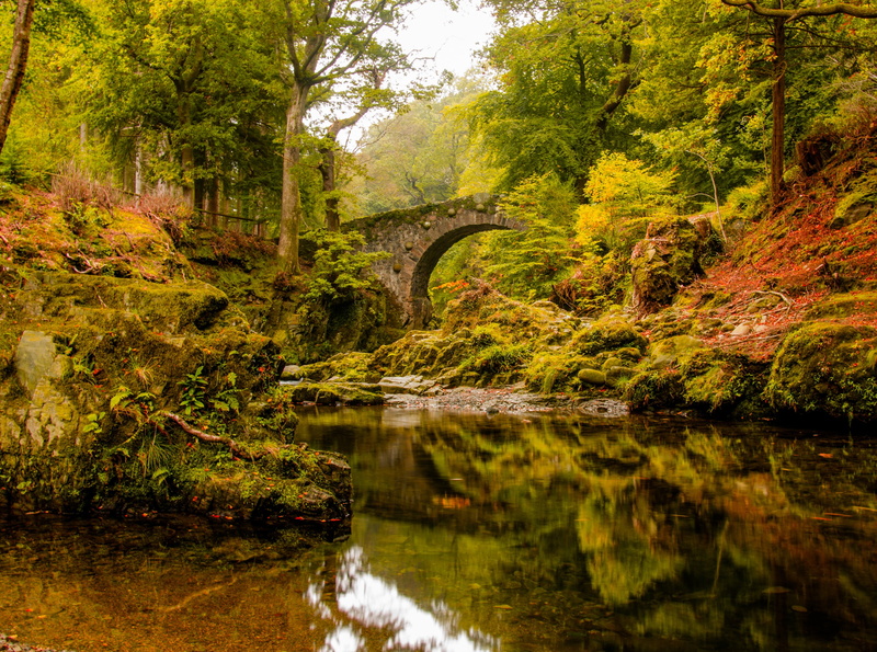change, s, leafed, footbridge, scenics - nature, plant, trees, tranquil scene, connection, arch bridge, Autumn, waterfront, water, tree, outdoors, arch
