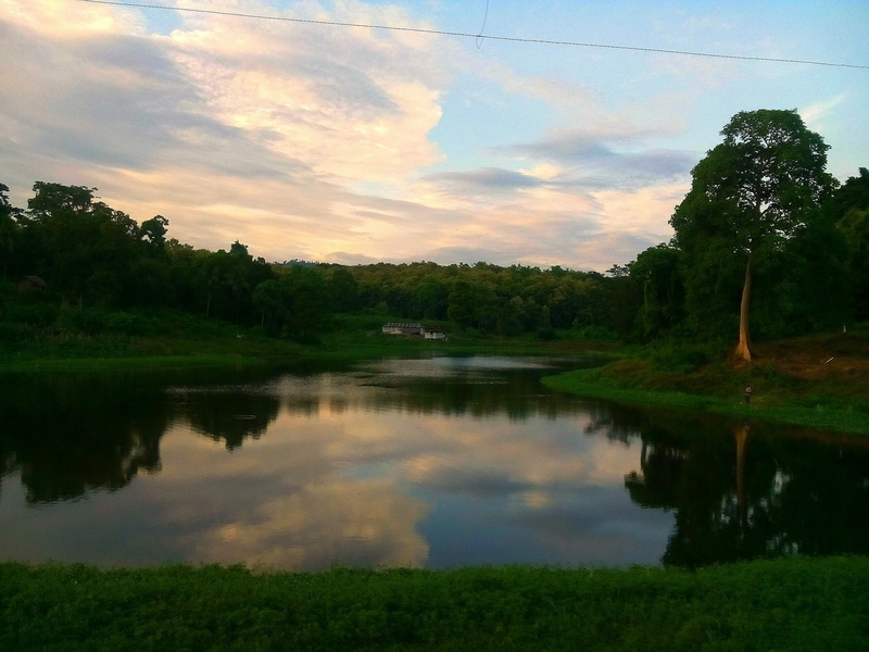 north east india, non-urban scene, green color, water, tranquility, travel, lake, sunset, no people, lakes, scenics - nature, growth, india, tranquil scene