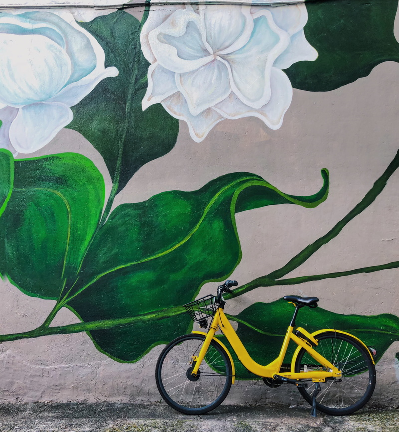 painting, yellow, blossom, graffiti, flower, wheel, daytime, side view, stationary, singapore, wall art, beside, flowers, machine, bird, wall - building feature