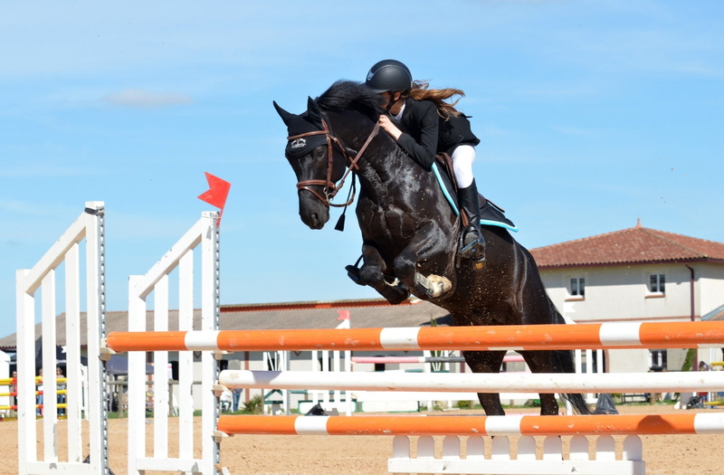 People, Sports, Show Jumping, 1080P, Equestrian, Sport, Woman, Jump, Horse