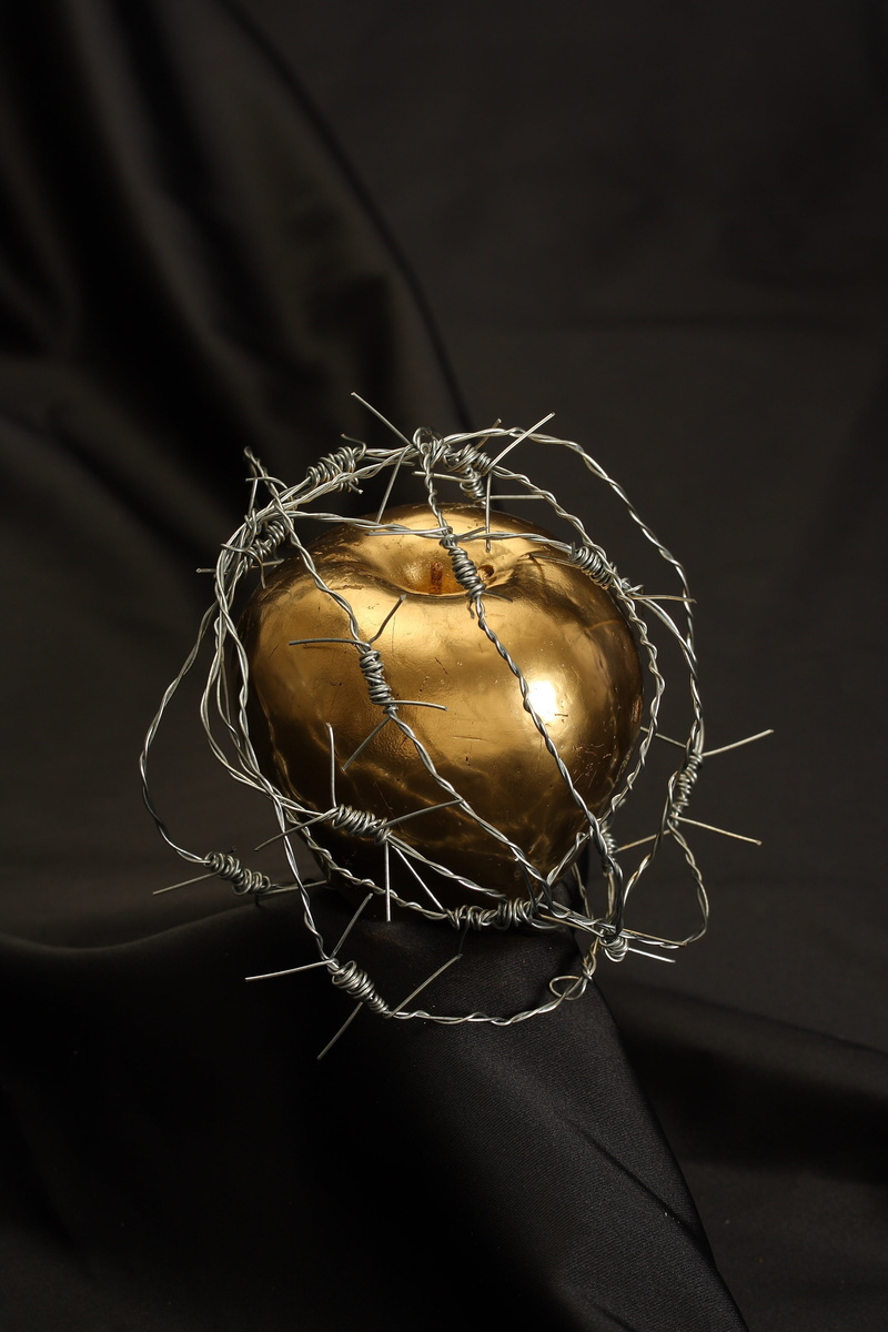 close-up, 4K, studio shot, indoors, nature, single object, focus on foreground, freshness, barbed wire, black background, gold, no people, food and drink