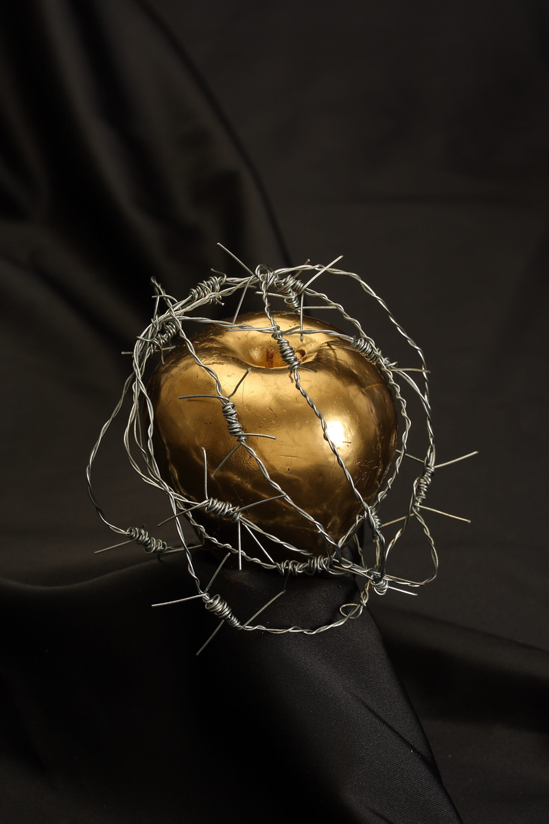 food, string, no people, womens, healthy eating, studio shot, 4K, colored, wellbeing, decor, idea, vegetable, brown, still life, barbed wire, black, tied up