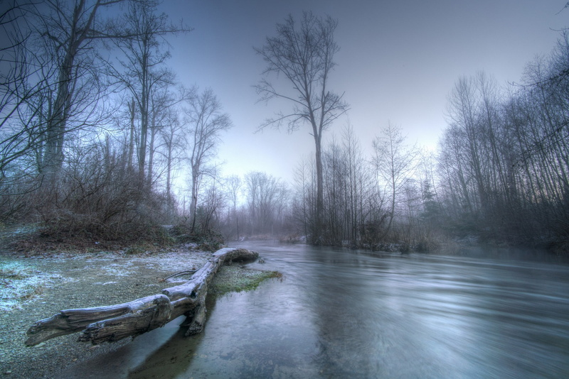 winter, river, frost, landscape, morning, 1080P, nature, forest