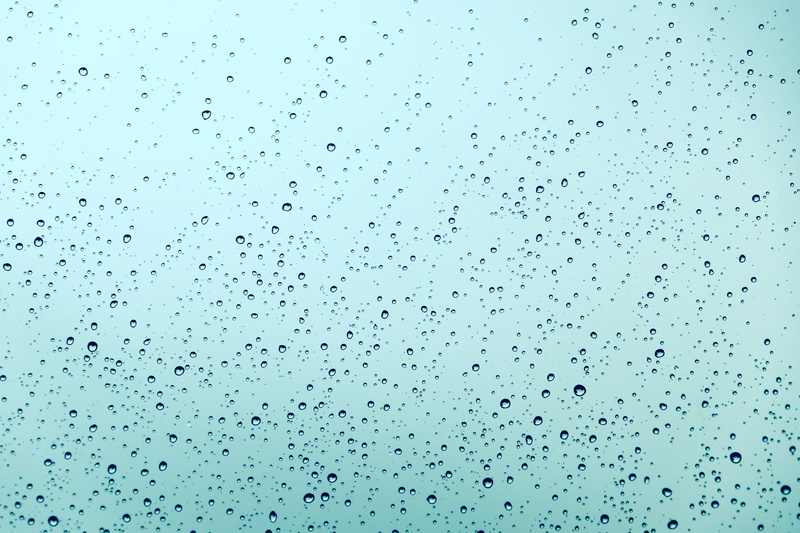 full frame, day, blue background, droplet, leaf, paper, animal, gray, abundance, flying, flock, flock of birds, wet, outdoors, art, pattern, sky, 5K, window