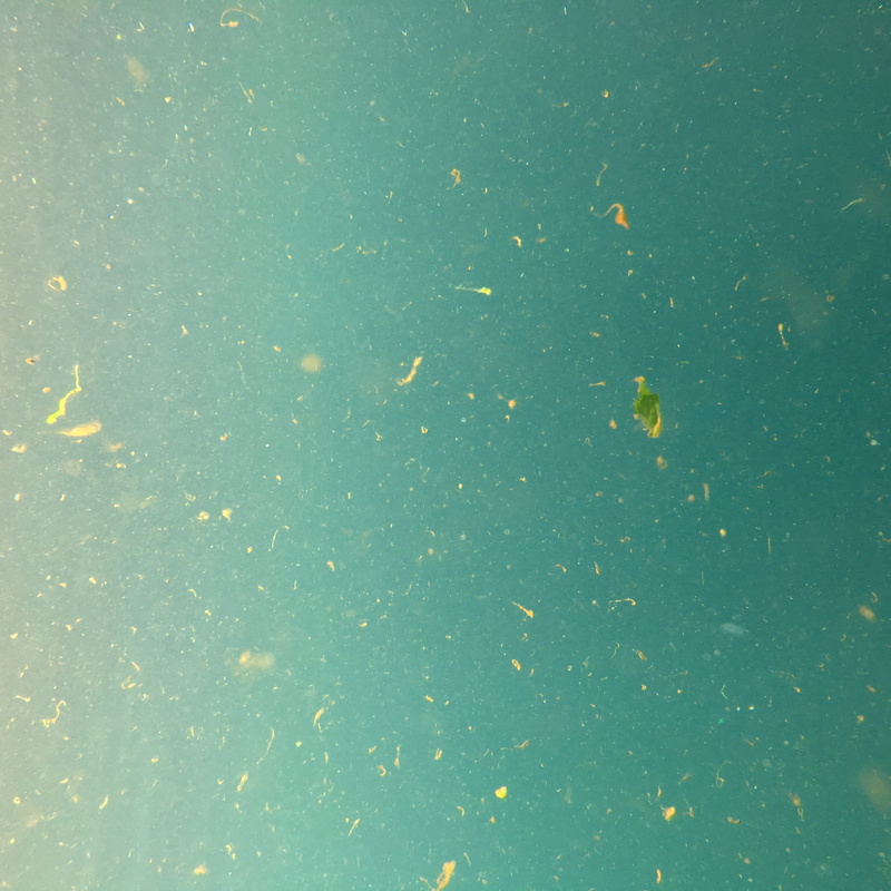 paper, accessory, textured, outer space, origami, close-up, no people, day, full frame, tie, astronomy, carp, invertebrate, abstract, universe, pattern