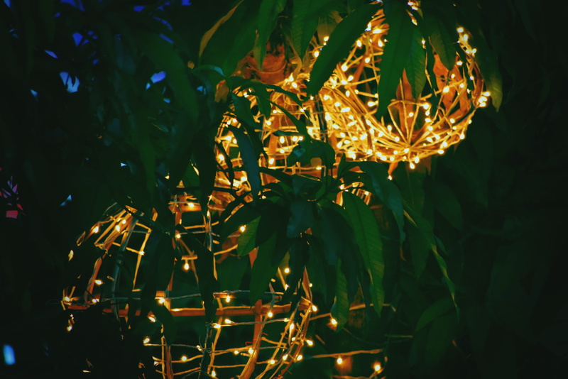 insect, modern art, invertebrate, animal, holiday, lighting equipment, nature, confetti, no people, electricity, growth, christmas decoration, plant part