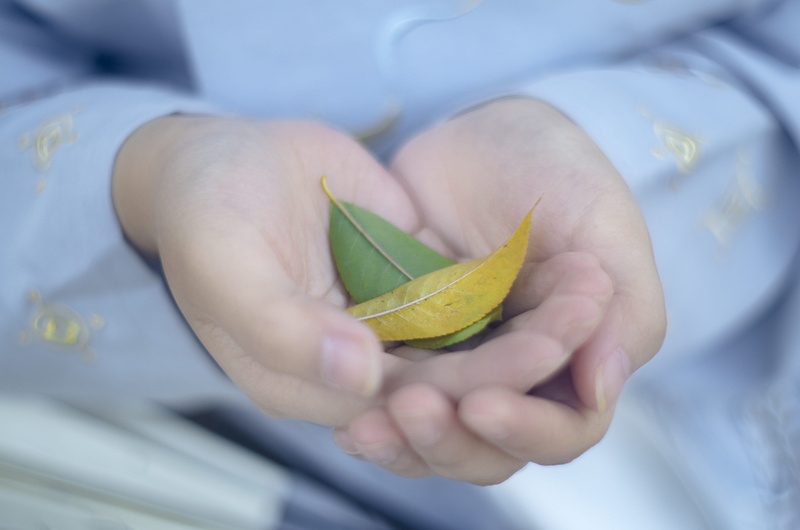 origami, real people, planting, fruit, lip, two, 4K, finger, clinic, human body part, paper, art, front view, peel, close-up, person, leaf, human limb