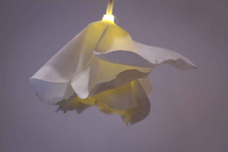 lampshade, light fixture, bird, reflection, paper towel, fire, full length, peel, towel, origami, indoors, no people, toilet paper, gray background, food and drink