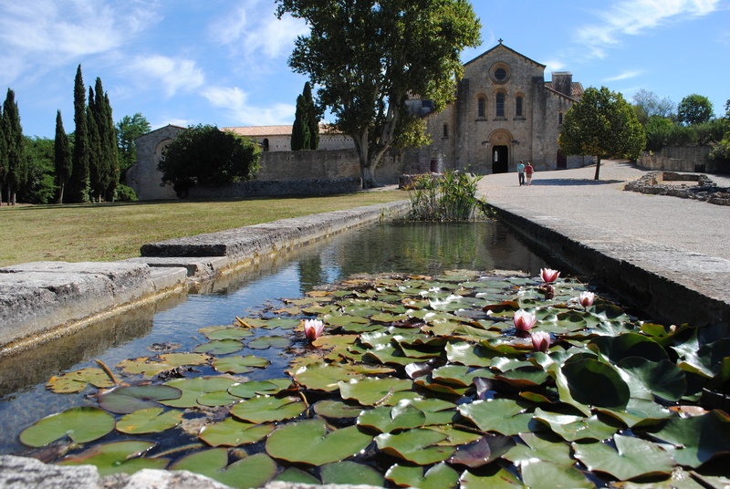 architecture, church, floating on water, nature, day, monastery, romanesque, building exterior, leaves, building, water lily, built structure, lotus water lily