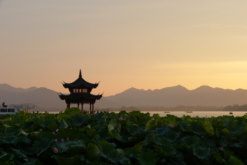 outdoors, 4K, tranquility, plant, lotus flowers, spirituality, scenics - nature, nature, beauty in nature, mountain, no people, temple - Building, built structure