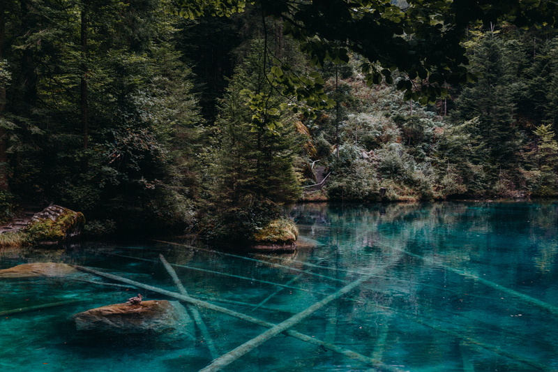 switzerland, tranquility, stone, non-urban scene, tree, stones, mountain, day, blue, underwater, blausee, reflection, forest, waterfront, bath, 5K, swimming pool