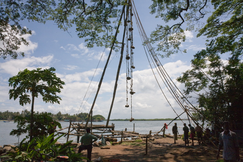 fischer, day, fishing net, india, nature, real people, outdoors, tree, 4K, leisure activity, crowd, transportation, men, large group of people, plant