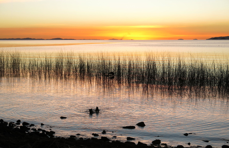 scenics - nature, tranquil scene, sunset, sea, 4K, outdoors, animal wildlife, sky, tranquility, bird, romantic sky, vertebrate, peru, no people, lake titicaca