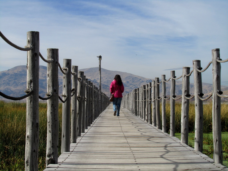 Nature, one person, adults only, full length, fence, direction, Walk, Gateway, outdoors, sky, diminishing perspective, women, standing, day, Path, wood - material