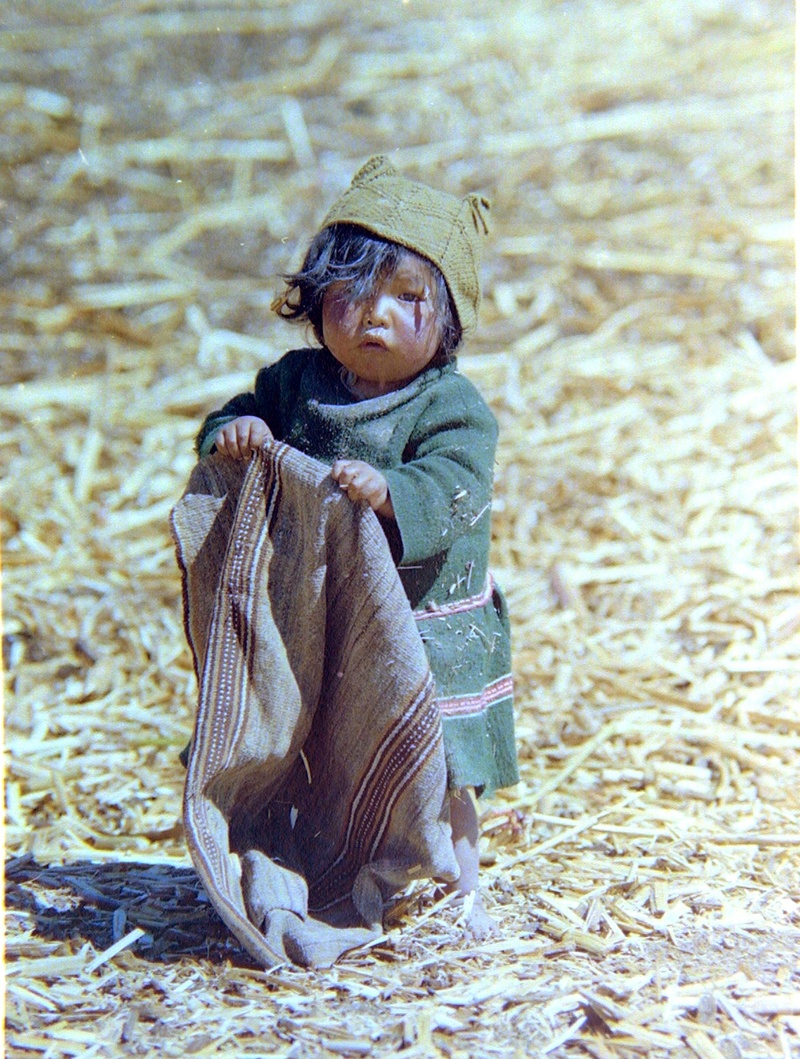indigenous, males, day, nature, peruvian, young, front view, clothing, full length, floating, baby, men, sadness, titicaca, outdoors, real people, island